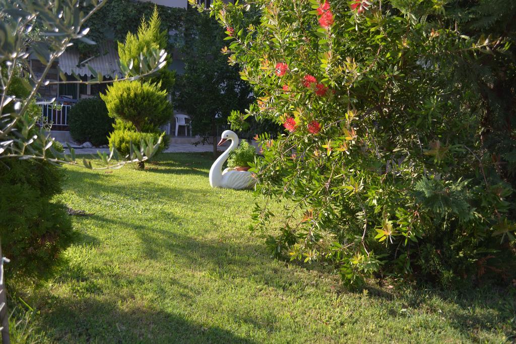 Artemis Apartments Paralia Dionisiou Extérieur photo